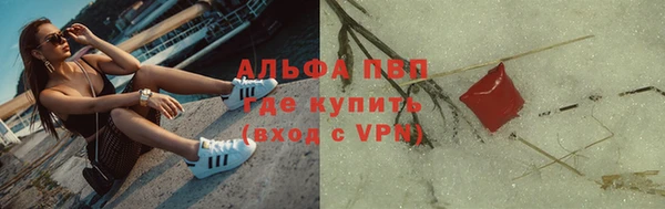 СК Ладушкин