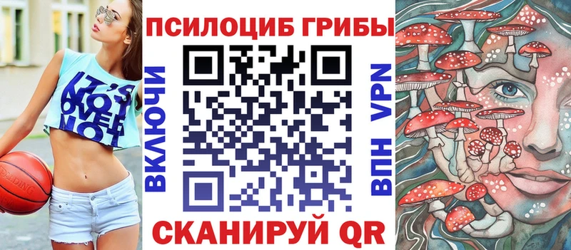 Галлюциногенные грибы Psilocybine cubensis  ОМГ ОМГ ССЫЛКА  Новосибирск  закладка 